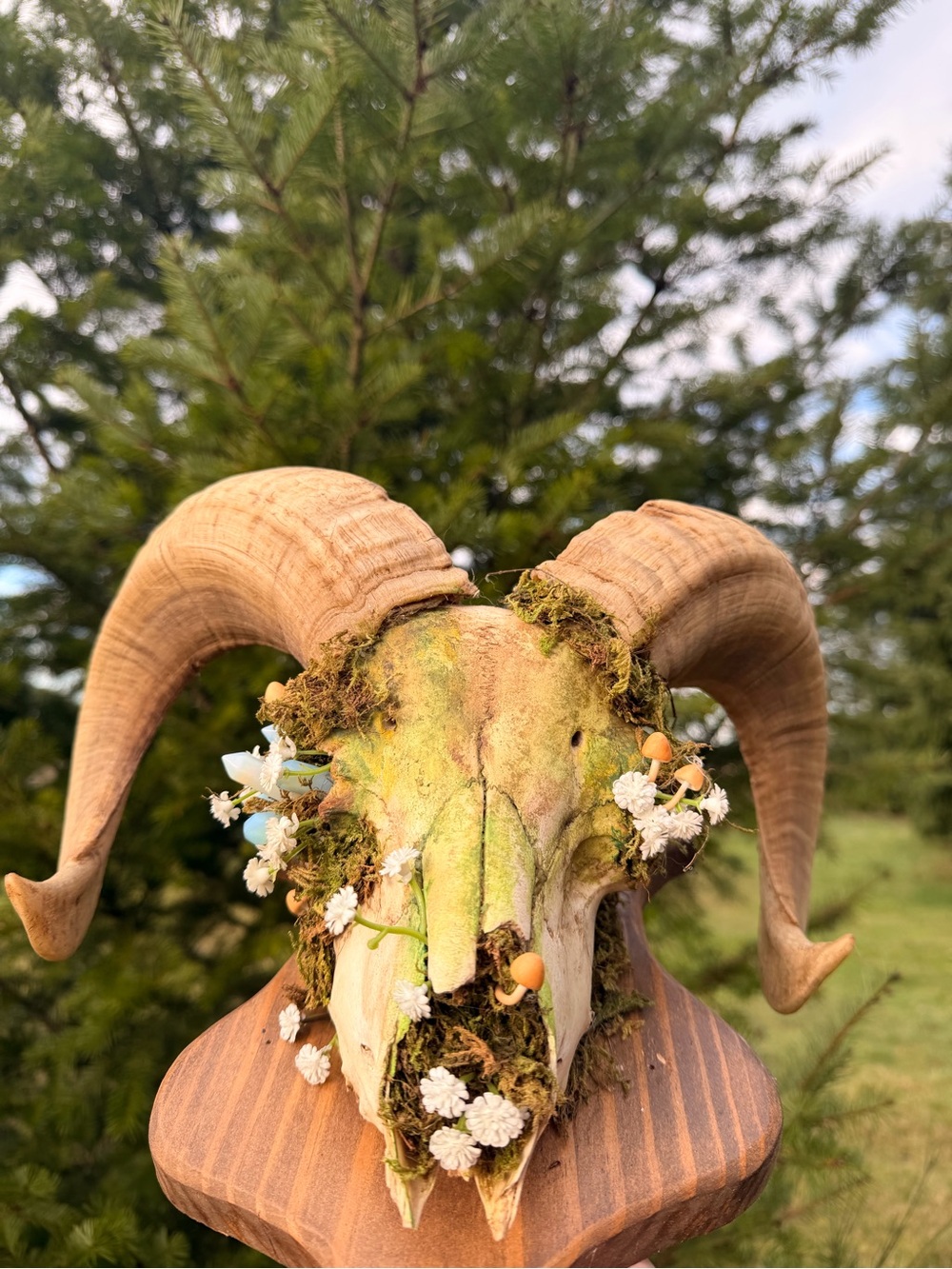 Decorative Ram Skull with Moss and Dried Flowers